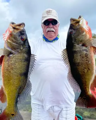 Double Peacock Bass Catch