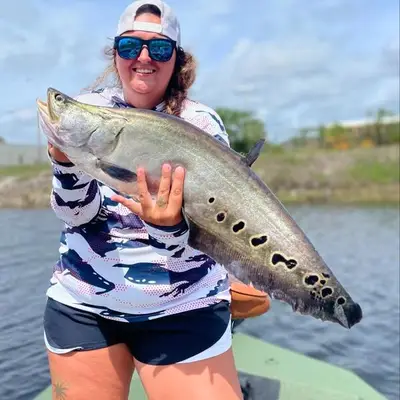 Clown Knifefish Catch