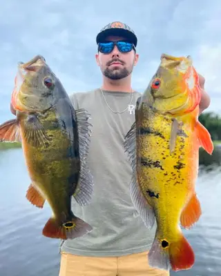 Double Bass Catch