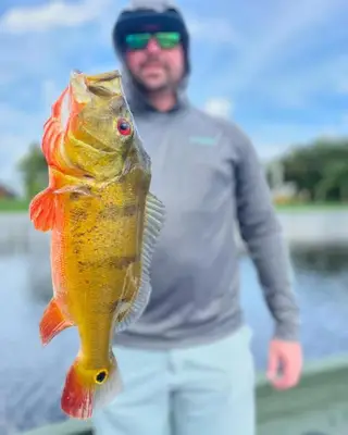Captain Skip Close Up Catch